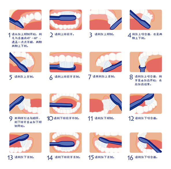口腔护理擦拭顺序图片图片